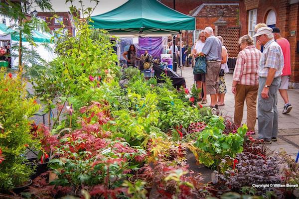Lymington Market Plant Stall by William Bonett