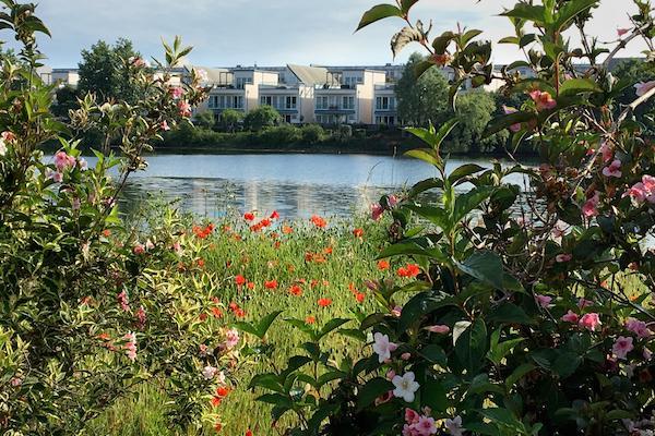 Lymington and Pennington Flower Festival winners 2019