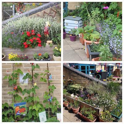 Photos x4 Lymington Church of England Aided Infant School