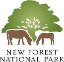 nfnpa logo