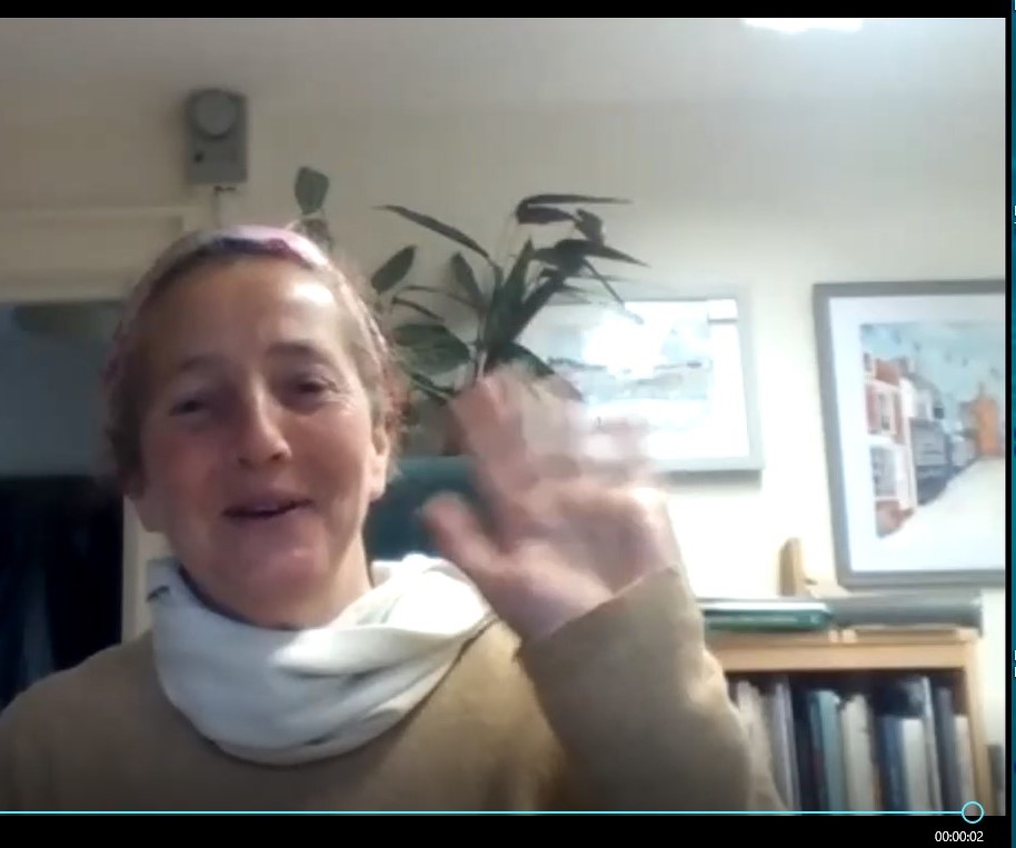 Brockenhurst village illustration