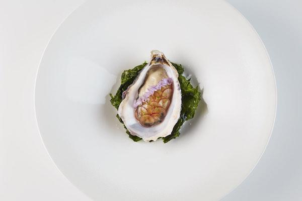 The Montagu Arms Oyster 600x400