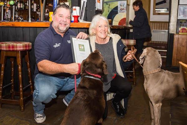 Woofing good! Announcing the winners of the New Forest Dog Friendly Awards 2018