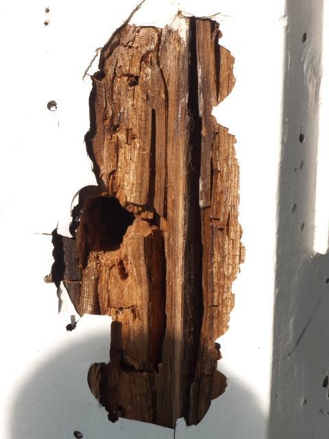 St Thomas Church Cupola Damage