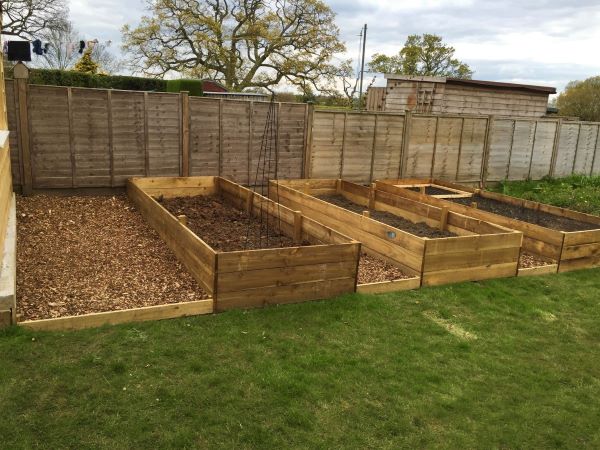 raised beds