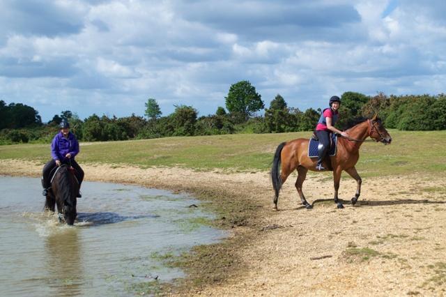 A day on horseback in the New Forest - photo Matt Callaghan