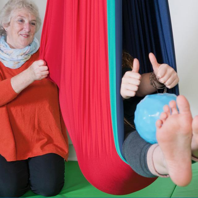 Launch of MindSenseAbility at Beck Farm Studios near Lymington