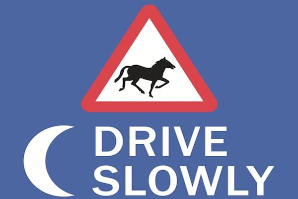 Add three minutes to your journey time in the New Forest