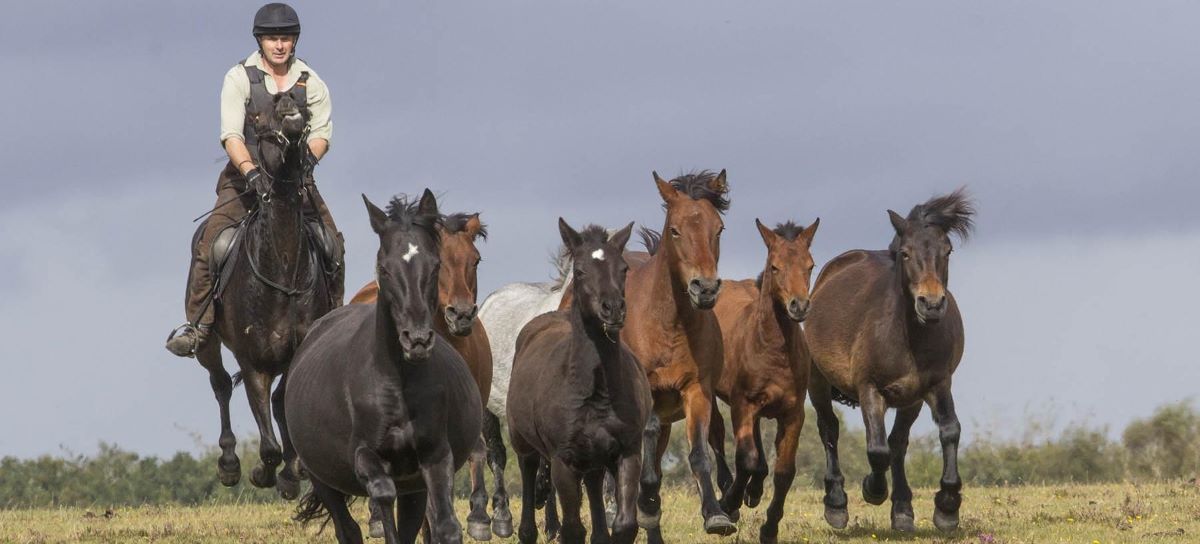 Sally Fear photo of drift rider Steve Kitcher