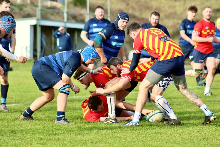 Ambush in the New Forest? Scott Bailey LLP with offices in Lymington and Lyndhurst explains