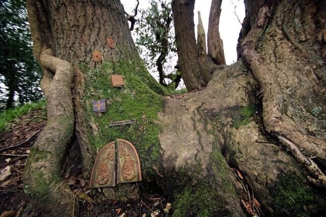 New woodland walk and nature trail in Shorefield Country Park Milford on Sea  fairy town hall