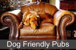 Dog Friendly Pubs