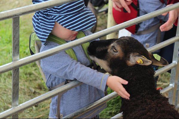 Countryside Education Trust (CET) Beaulieu