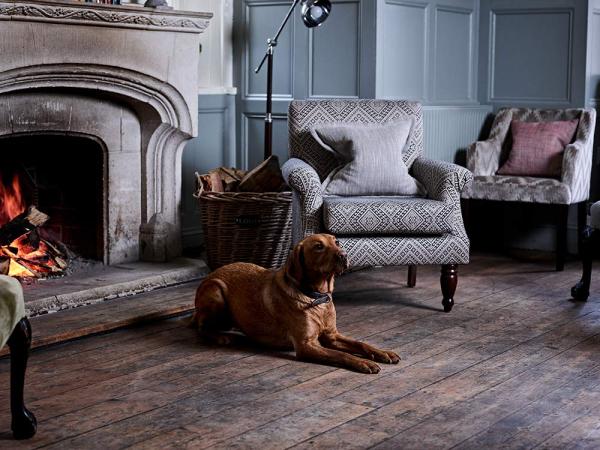 Dog-friendly Pub Monty's Inn Beaulieu