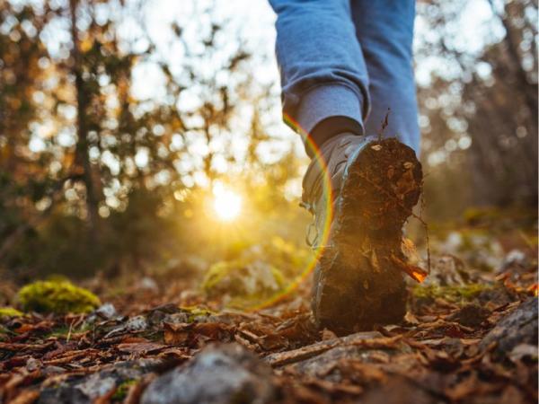 Oakhaven Business Club New Forest Walk & Work May 2026