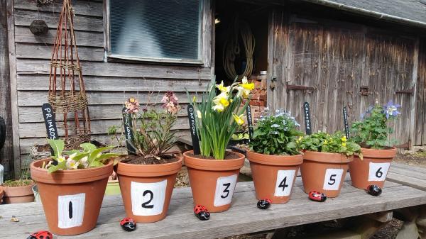 Easter Trail in Patrick's Patch